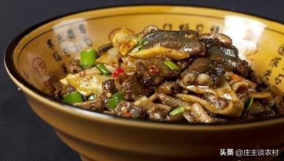 鼠年大吉菜谱大全,鼠年吉祥菜谱100例