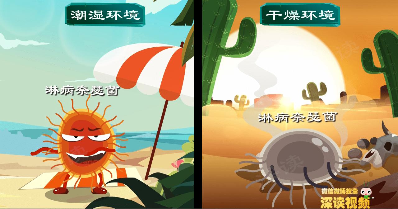 女性如何知晓得了淋病,女的有淋病一次就能中招吗