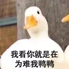 网金头条｜新品上线，等你来撩