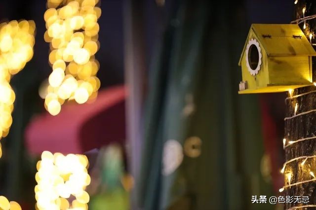 佳能rf24-105mmf2.8镜头评测,无忌测试