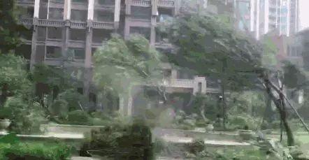如何正确挑选车膜,劣质车膜