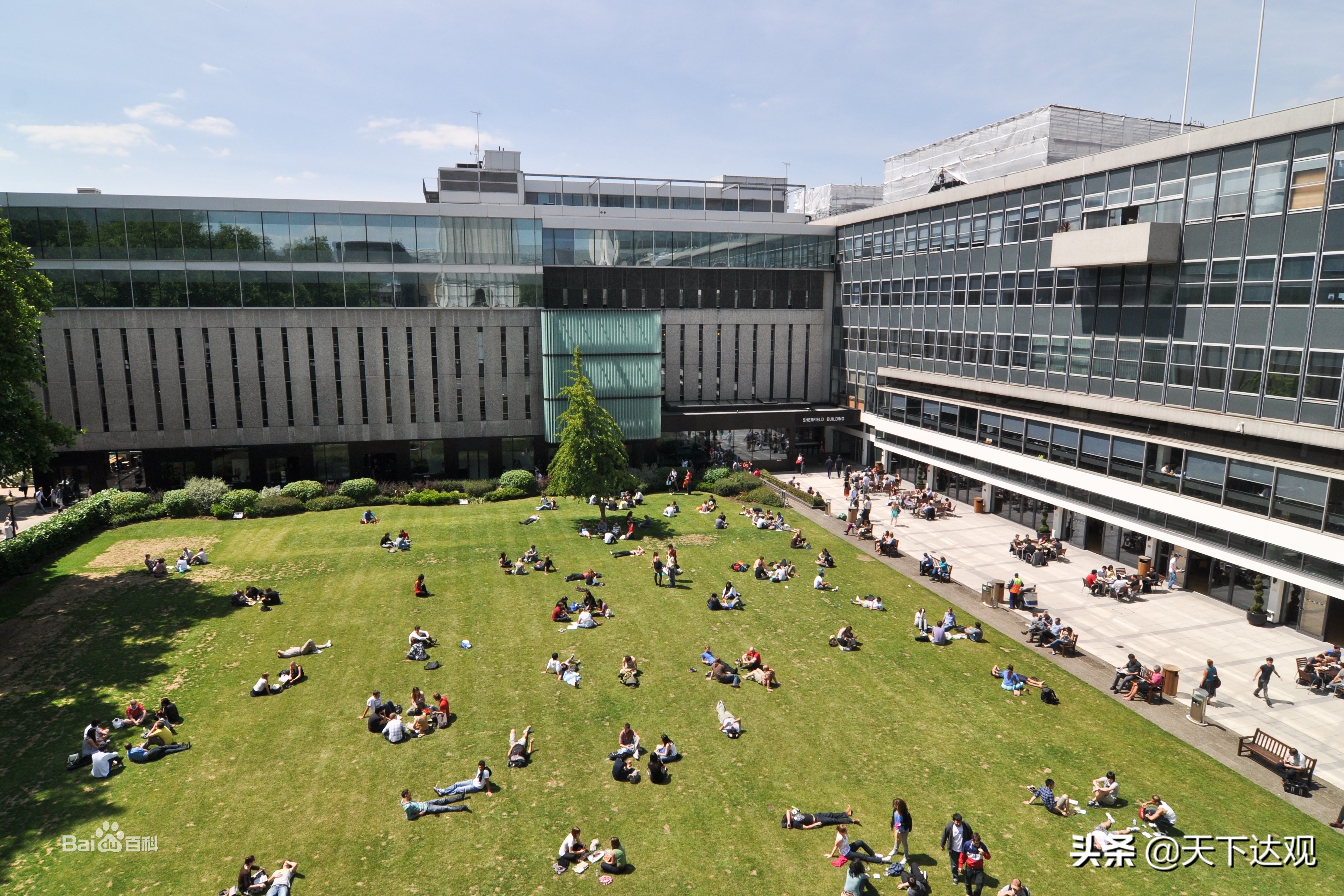 帝国理工大学有几个学院,帝国理工最好的大学