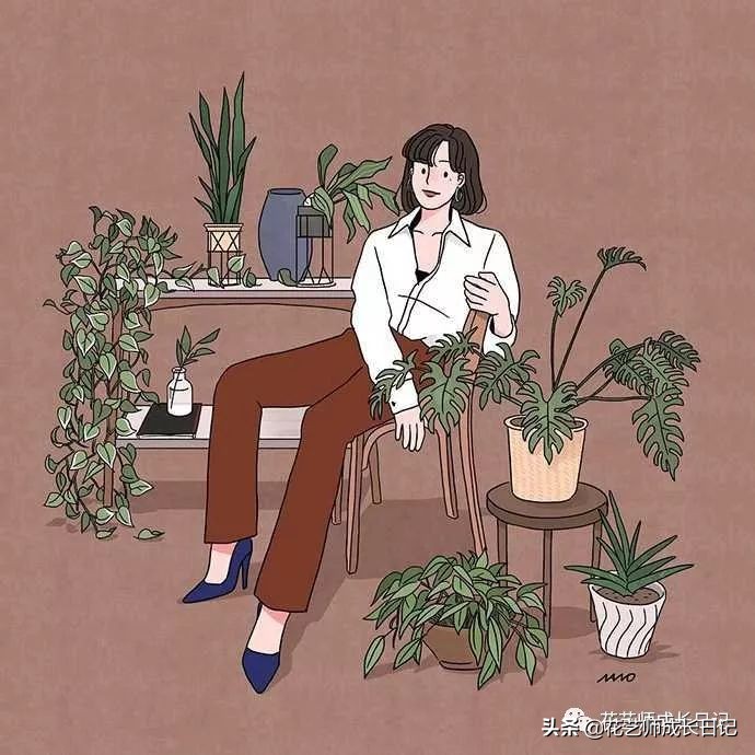 开花店花材损耗,花店新到花材如何打理