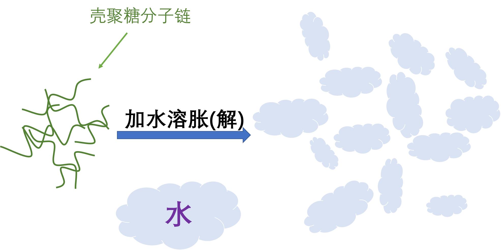 美食→生物材料|小龙虾和螃蟹→伤口敷料