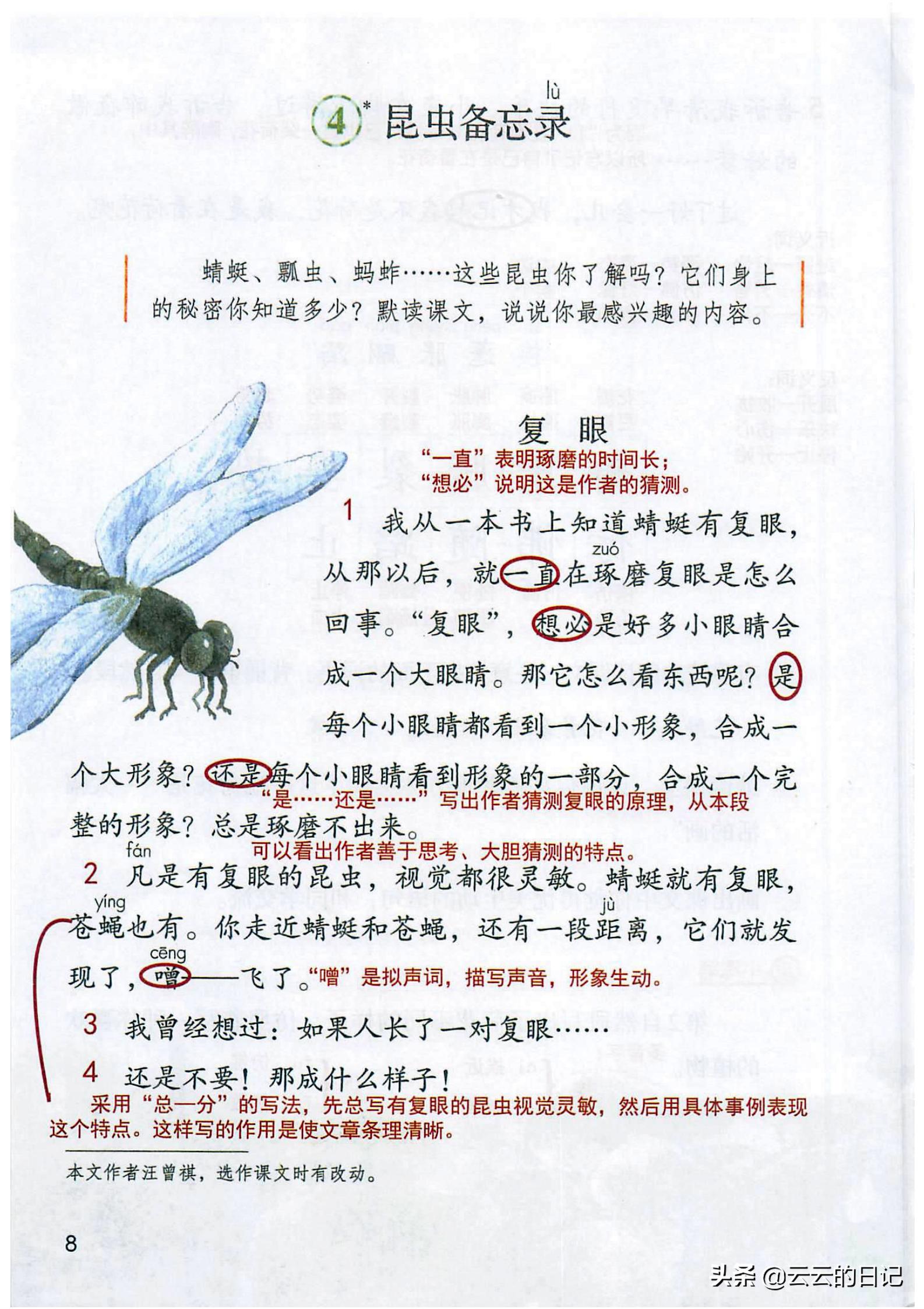 三年级下册语文笔记完整版讲解,三年级下册语文第一课注释