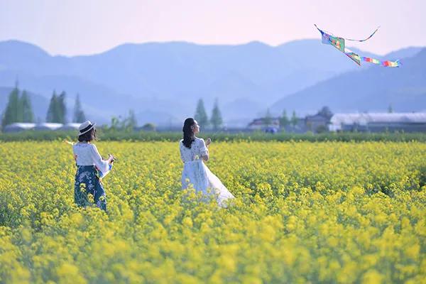 长三角城市群最佳旅游线路,长三角示范区旅游详细攻略