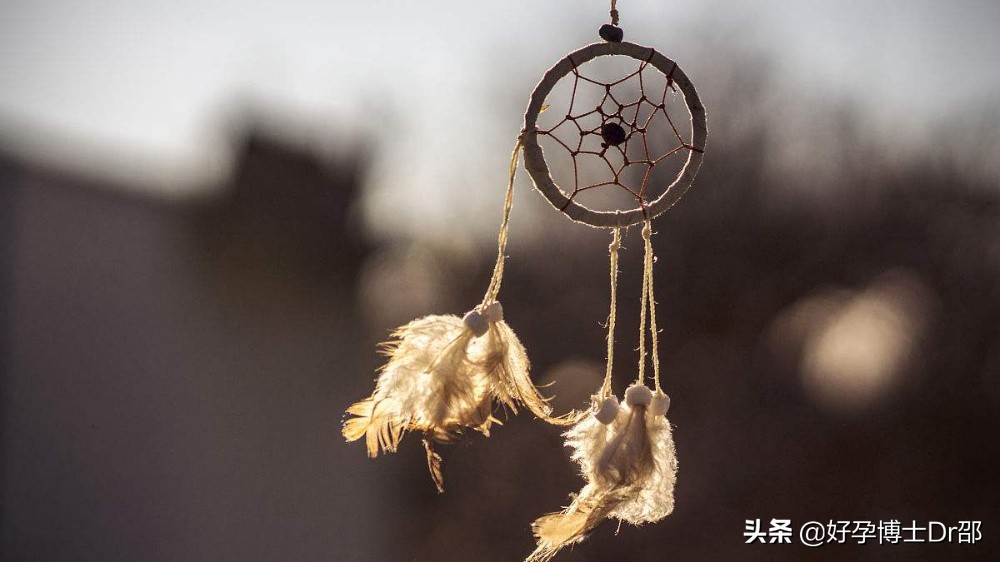 连载丨我不过是个追梦人——一个生殖医学专家的自述（一）
