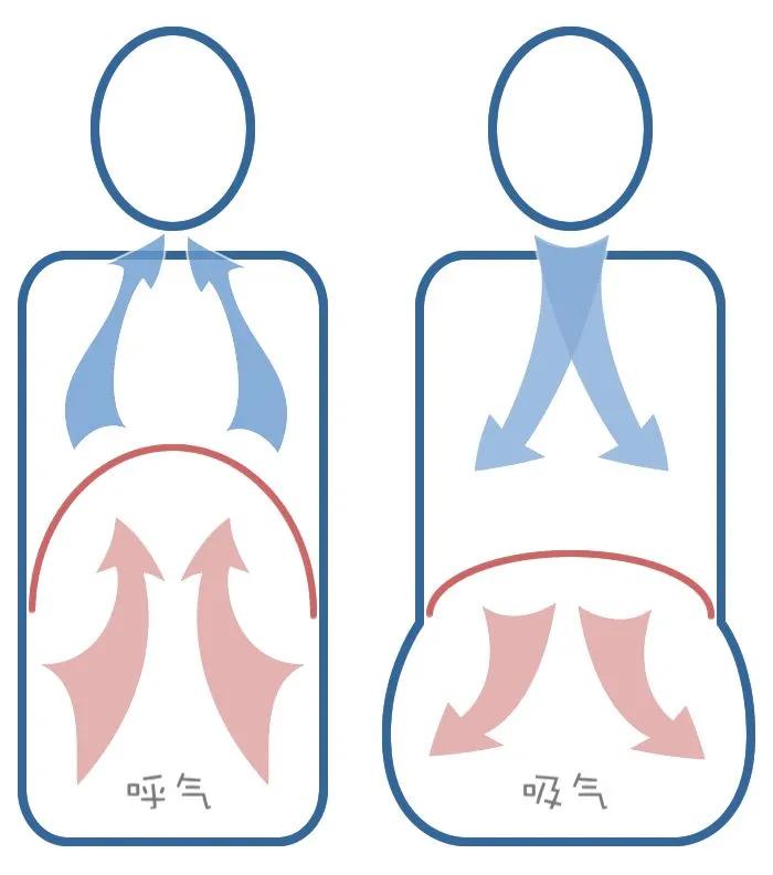 盆底肌高度紧张卡放松训练方法