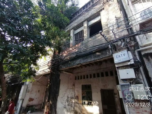 南国景色不曾秋，四时风光长如春,四）——广东行随笔之湛江篇