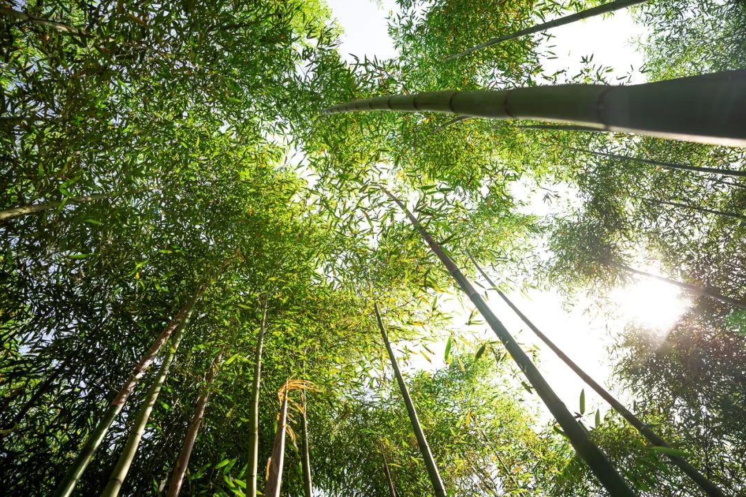 最新路虎卫士越野车,路虎卫士固特异at胎
