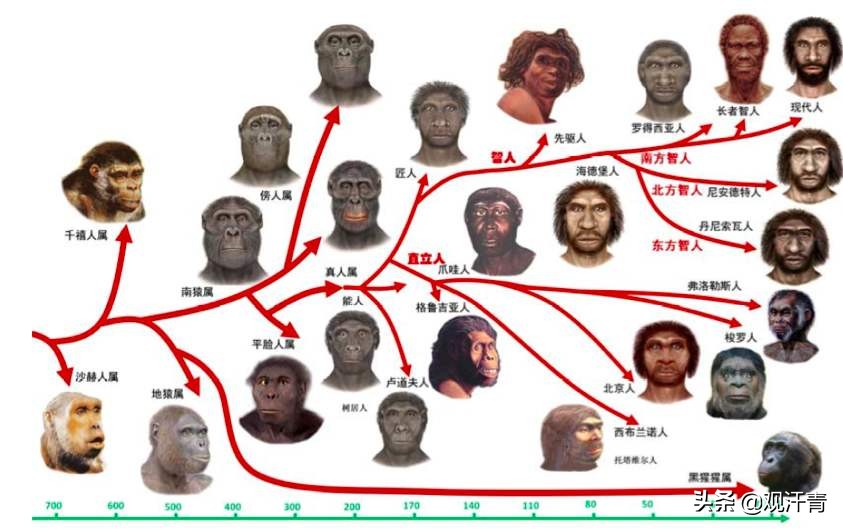 诺贝尔化学家以身试细菌,诺贝尔医学奖免疫治疗