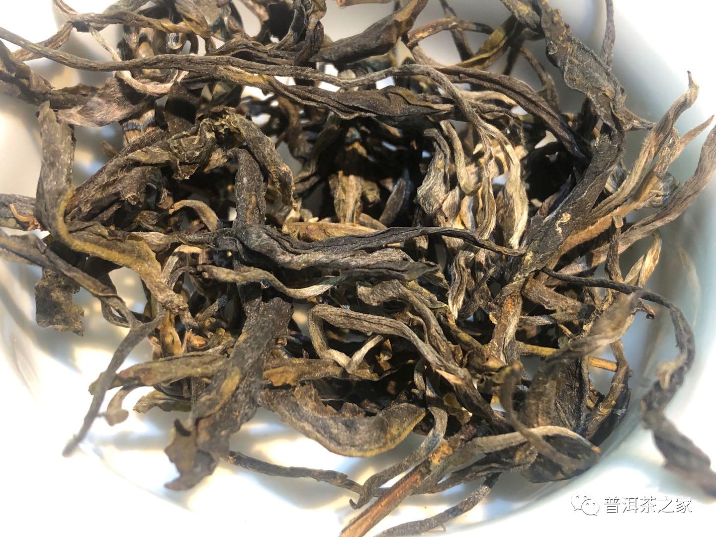 缅甸815和老班章距离多远,815和老班章有什么区别