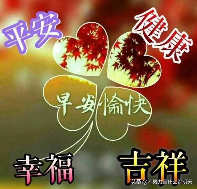 大家早上好祝福语优美句子带字图,大家早上好祝福语句子图片