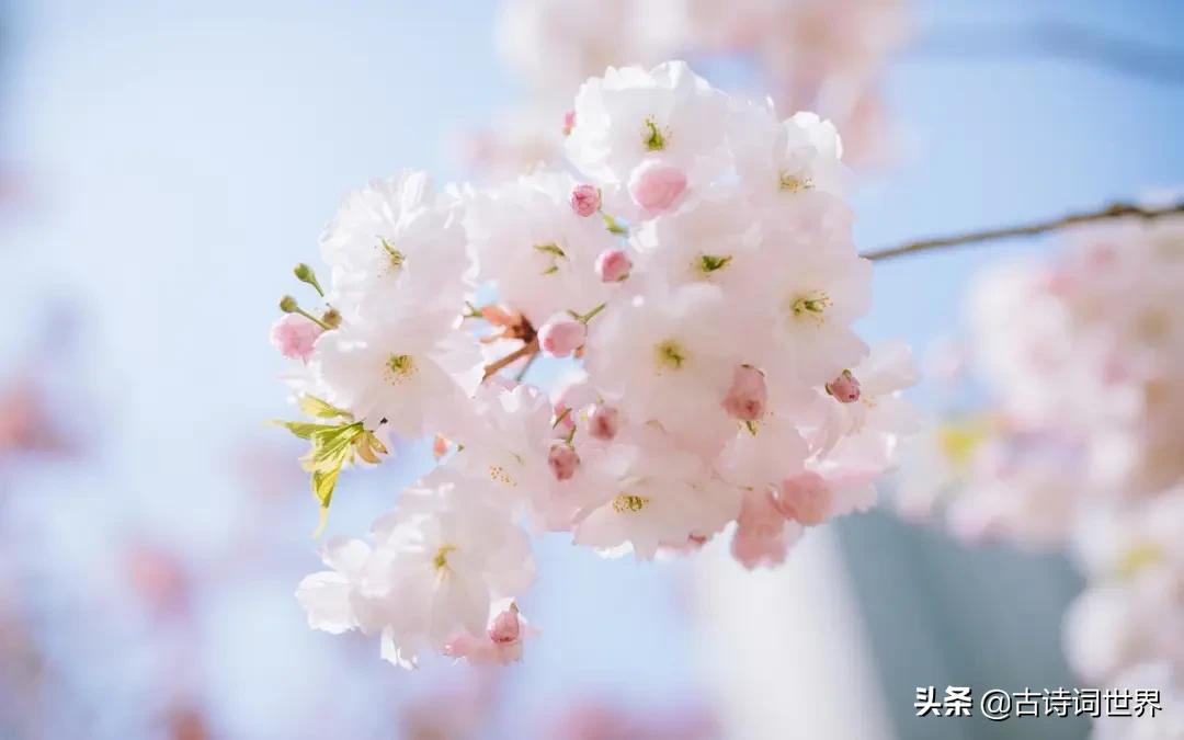 您语文好，请来读读试试，防老年痴呆