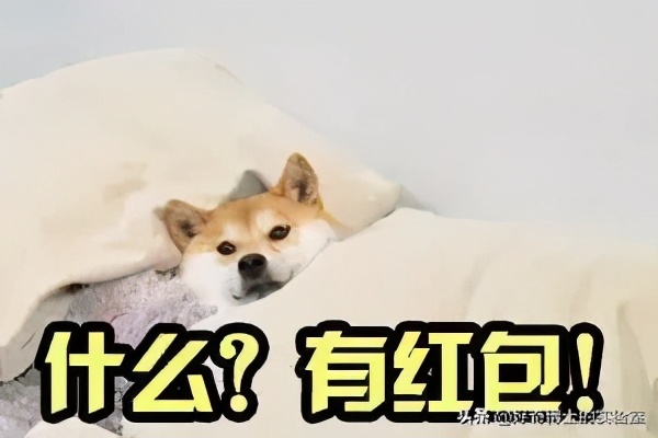 微信奇奇怪怪玩法,微信撩妹技能怎么玩