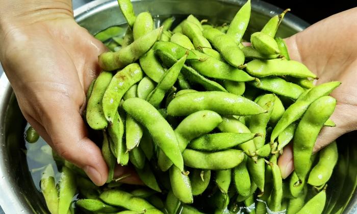 毛豆怎么煮容易软烂又不变色,毛豆炒肉毛豆焯水冷水下锅