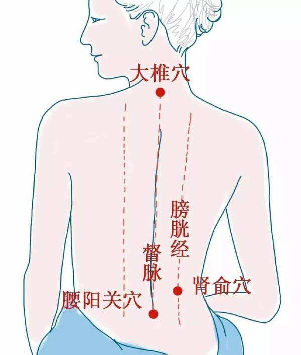突然喉咙痛感冒是怎么回事,突然喉咙痛是风热还是风寒