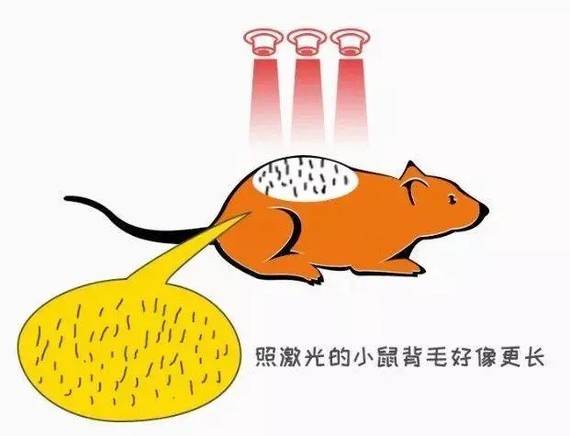有了这个神器，英国人的脱发有救了？