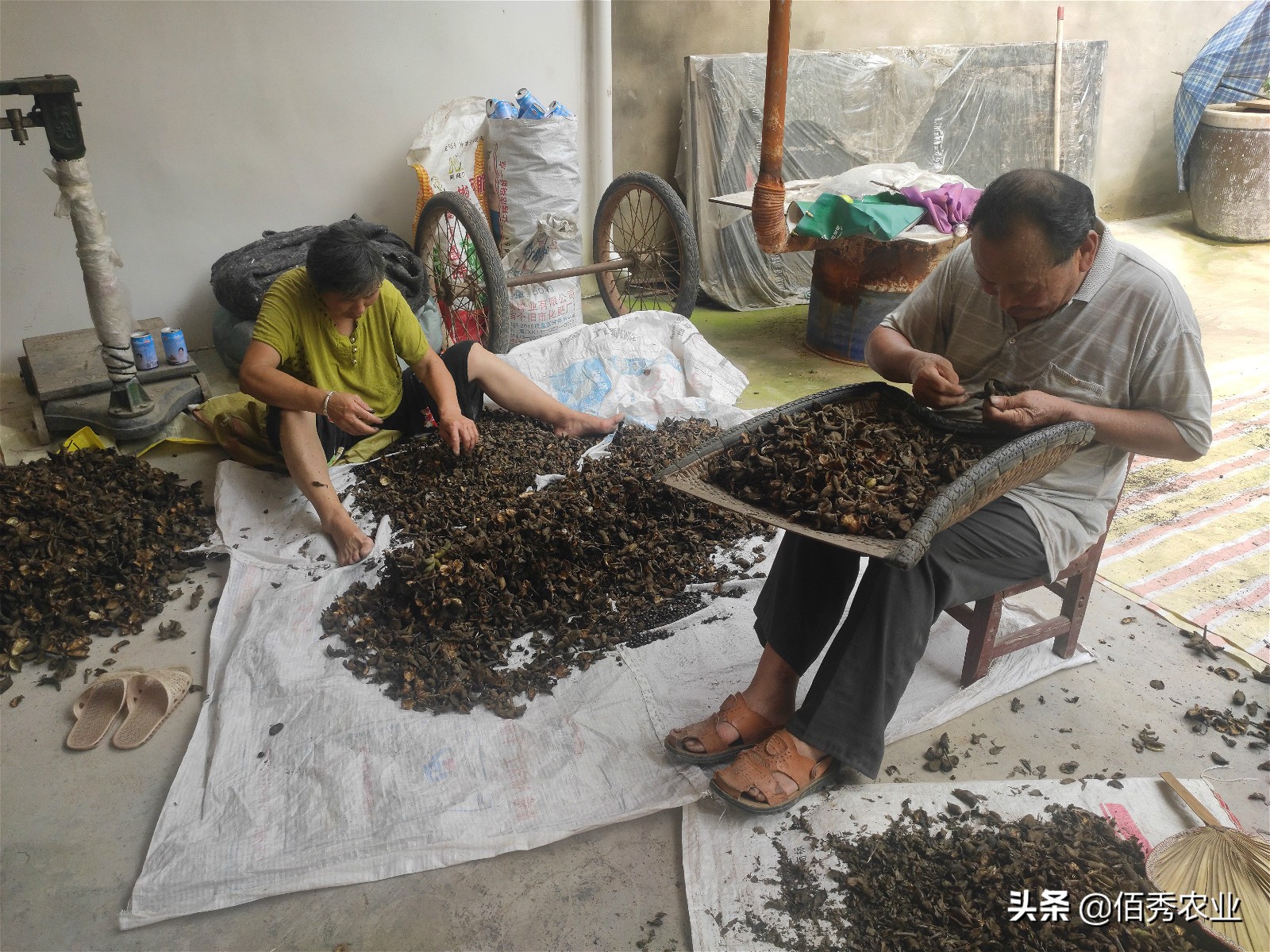 茅台泡沫破灭会有什么后果,茅台酒炒作泡沫会破灭吗