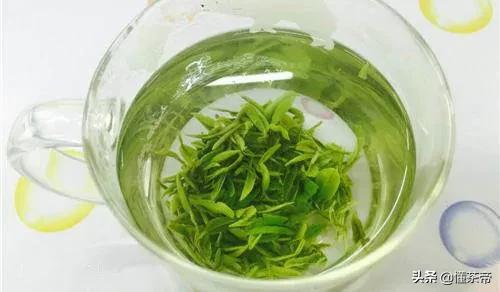 祁门毛峰与黄山毛峰有什么区别,真正的黄山毛峰是什么样的