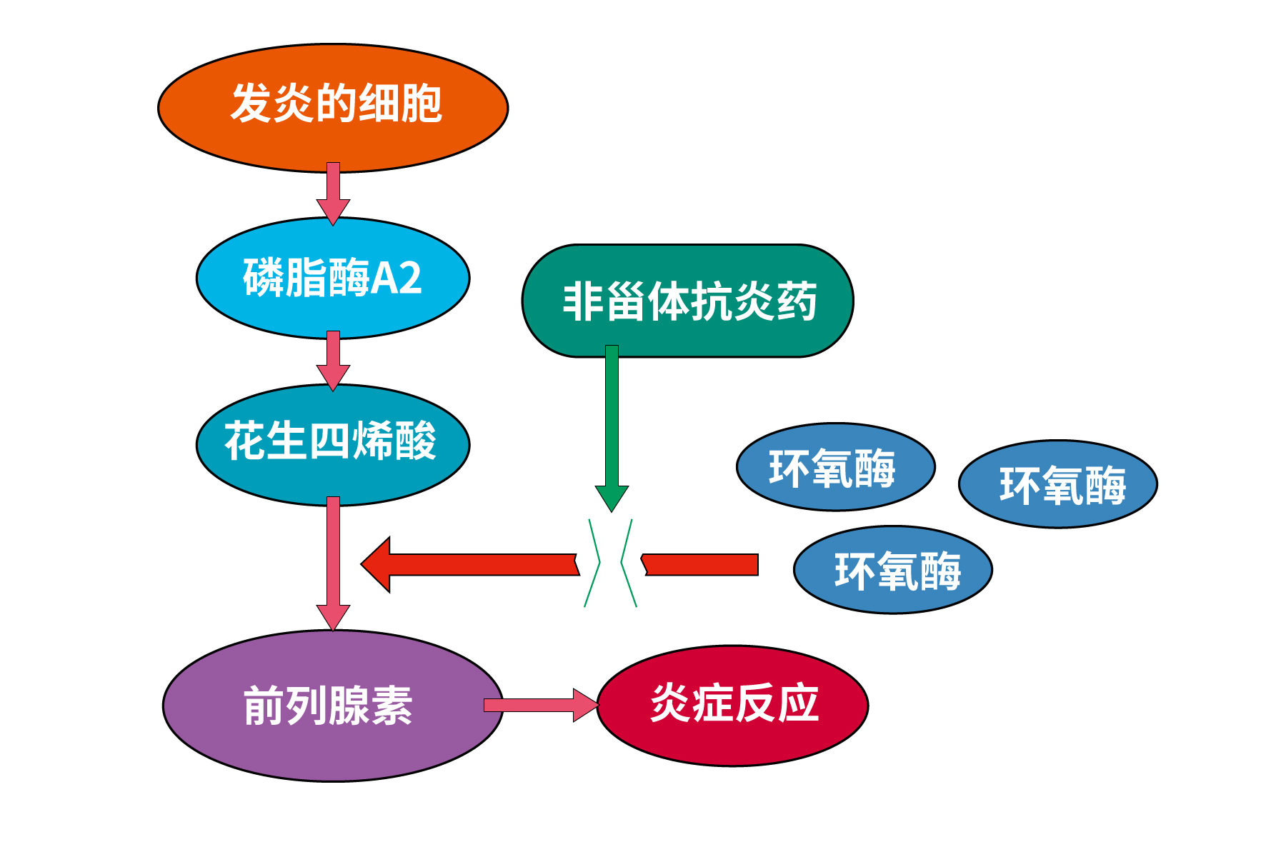 关节炎非甾体类消炎止痛药,非甾体类抗炎止痛药的禁忌