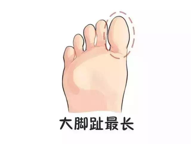 什么是千金相富贵脚,千金脚富贵命