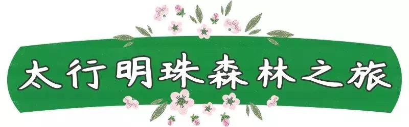 北京周边最美自驾公路,北京周边适合自驾人少的路线