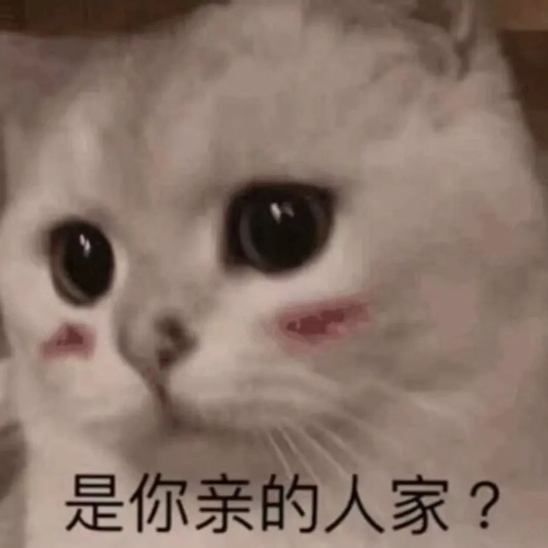 对不起，我是尬聊废物