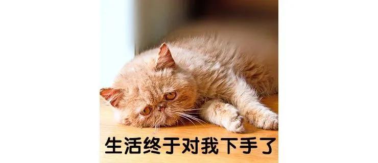 哺乳期大小奶应当吃哪一面,哺乳期大小奶怎么快速纠正