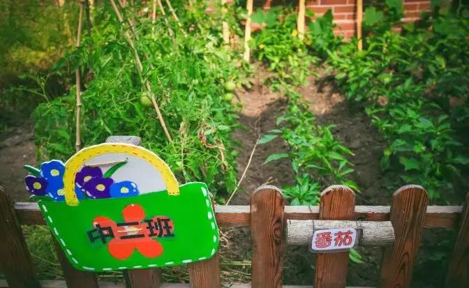 沈阳首批五星级幼儿园,沈阳市最好的幼儿园排名