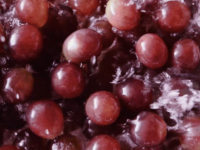 雪糕界的华为，这就是中国老上海的工匠精神，18分钟售出100000支