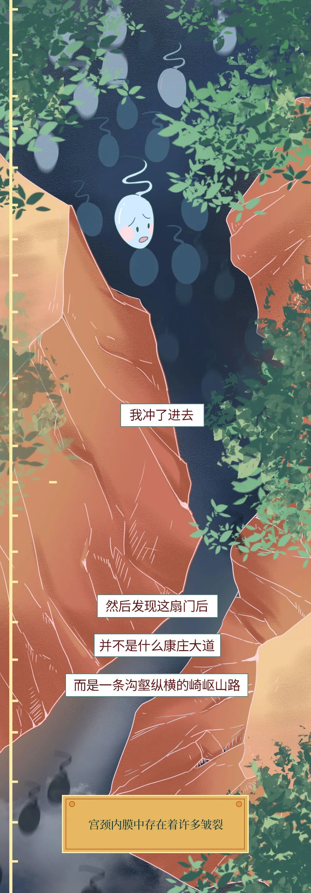 男性精子在体内存活时间,精子在体内的存活率几天