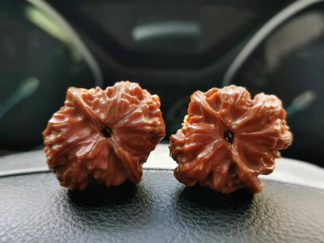 超实力派小姐姐！玩串16年，爱入骨髓，彻彻底底的包浆控