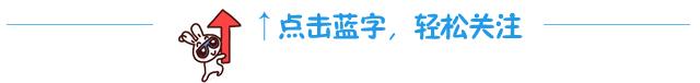 重磅95个项目总投资325亿元,目标产值超千亿这个项目未来可期