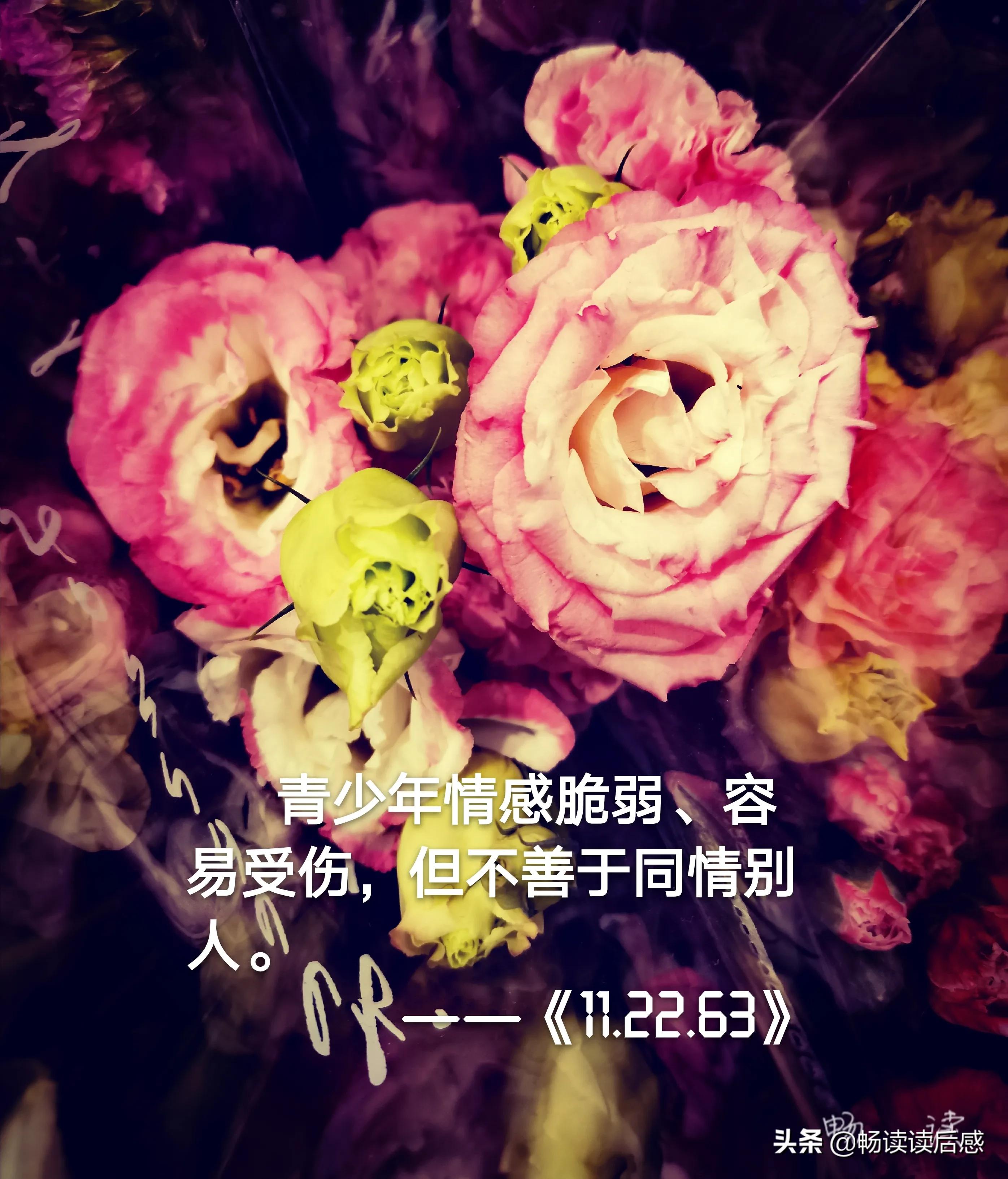 21篇读后感,128字的读后感