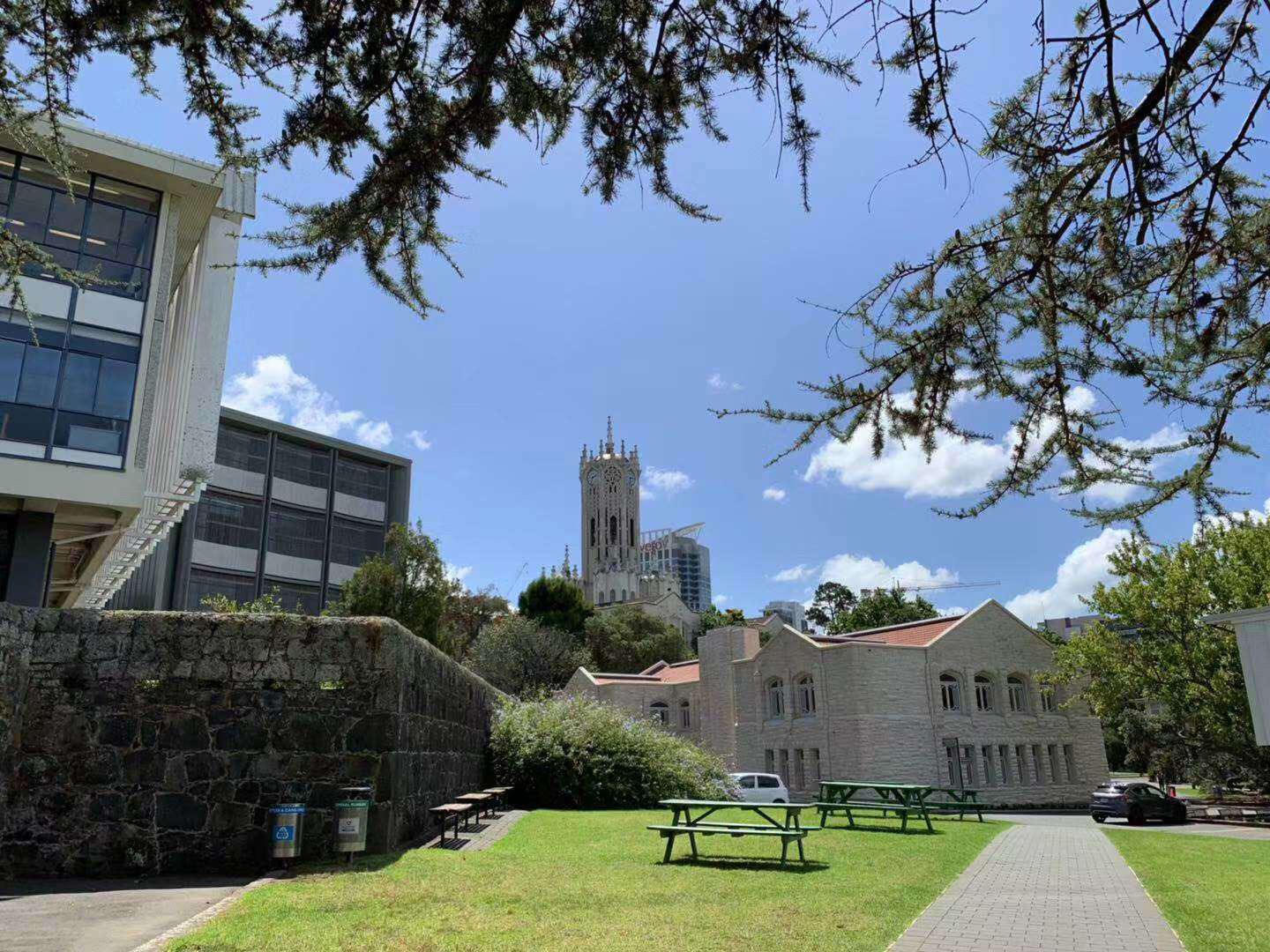 奥克兰大学留学真实感受,奥克兰大学本科申请条件