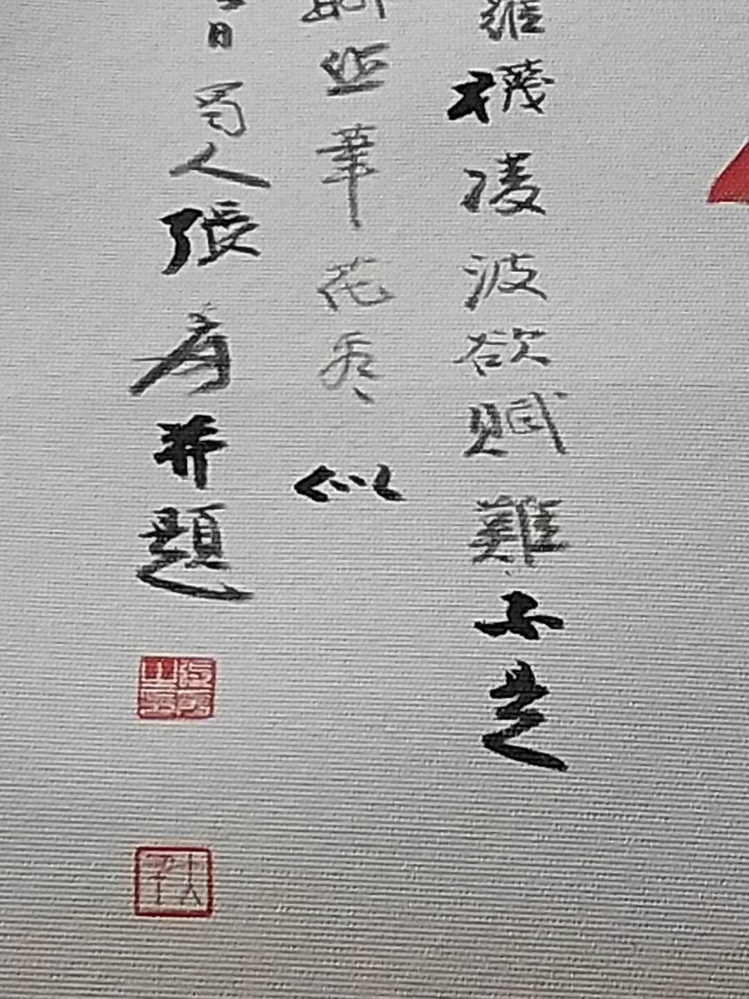 顶级荷花图,精品荷花品种大全