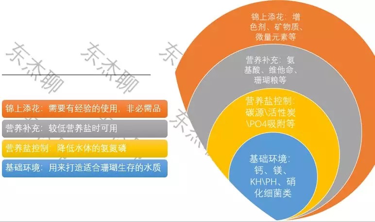 海缸刚开缸怎么饲养,海缸np双零珊瑚会白化吗