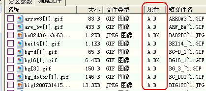 不常用格式的文件误删了怎么恢复,误删的格式化文件怎么恢复
