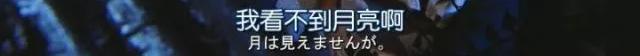 520多国语言我爱你,520用各国语言怎么说