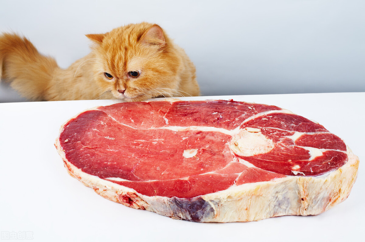优趣猫粮怎么样,力狼猫粮怎么样
