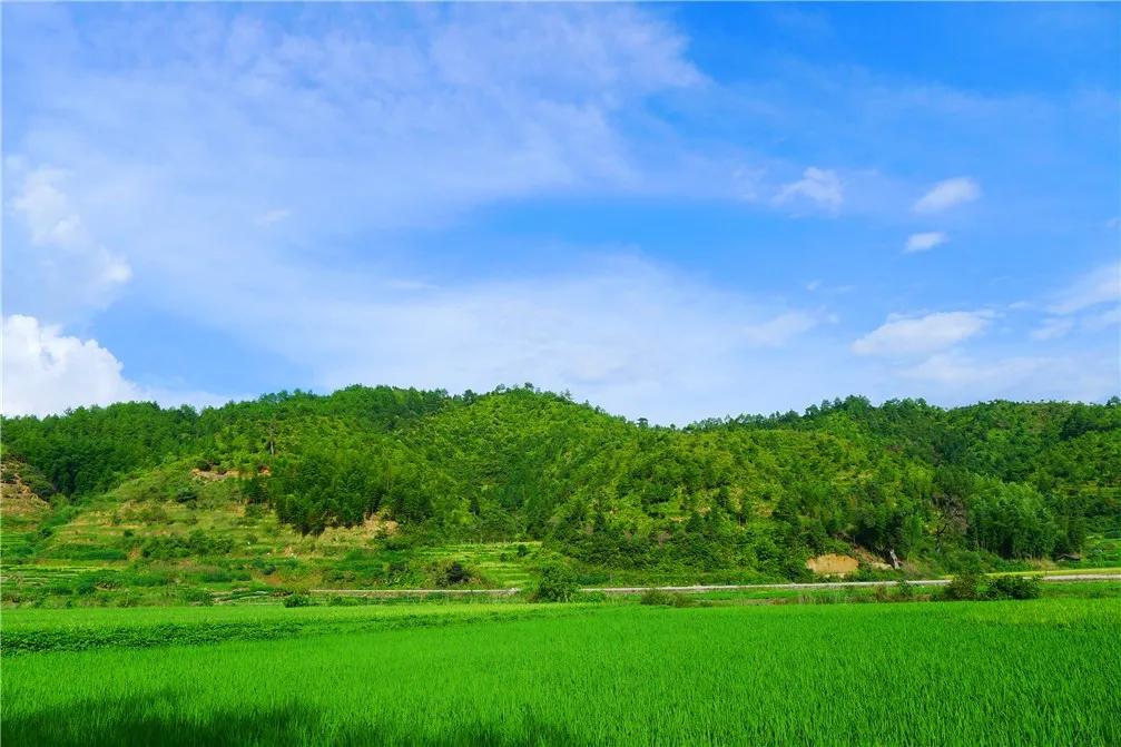 地铁直达！福州又将添一座新公园，花溪湿塘、水乡古桥...
