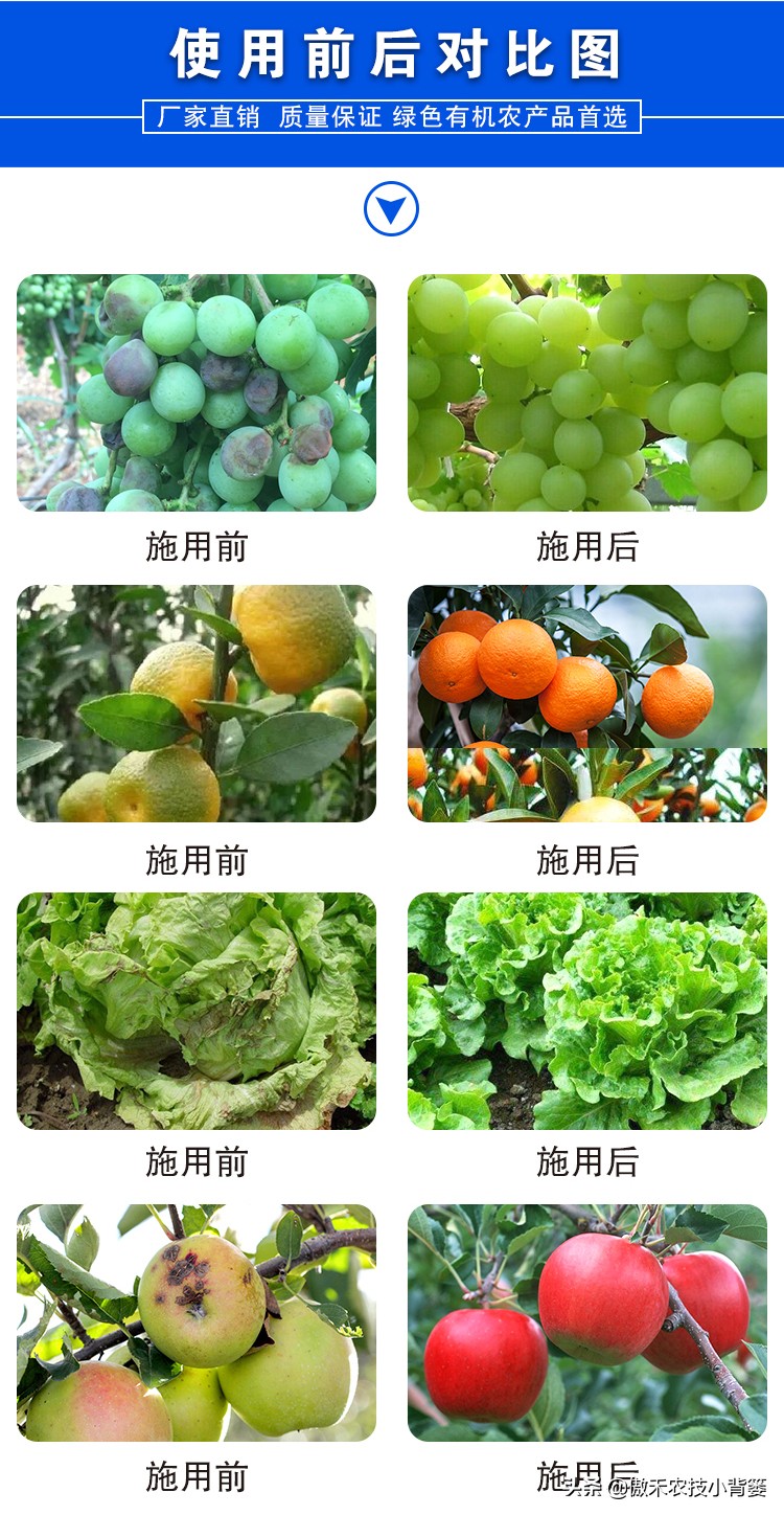 鱼蛋白肥料怎么辨别真假,进口鱼蛋白肥料为什么便宜