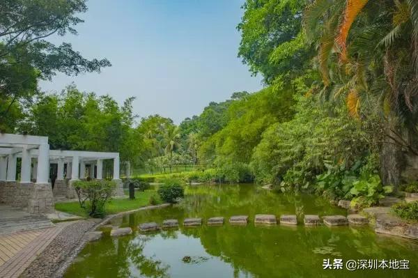 深圳100个免费景点,深圳免费100个景点