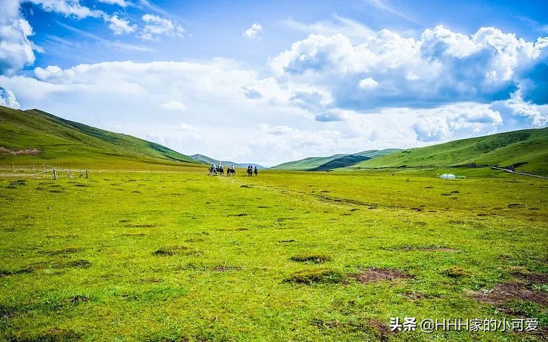 若尔盖大草原人间天堂,若尔盖大草原真美