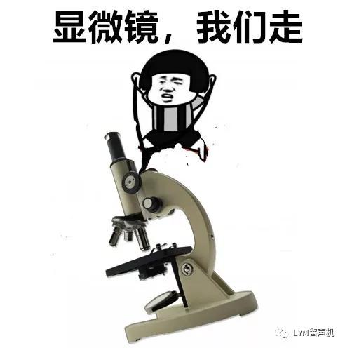 问病求理：“做病理”有什么用？