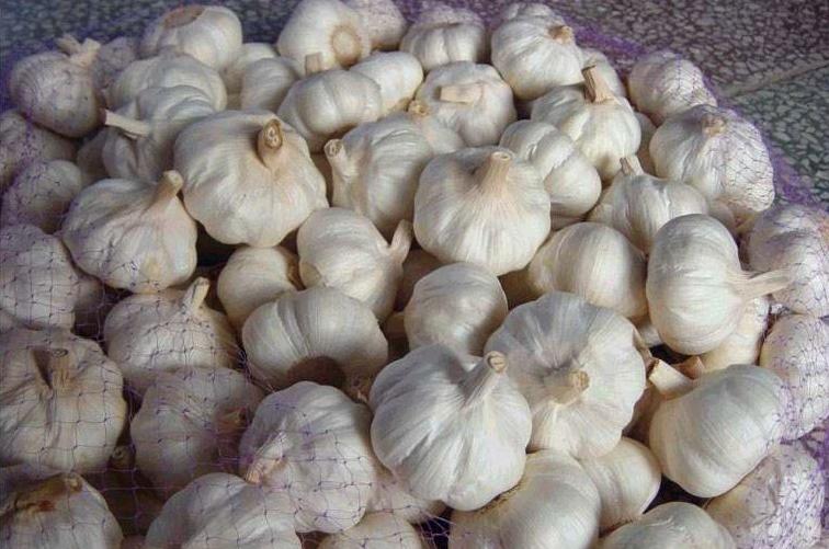 怎么储存大蒜不烂不生芽,大蒜怎样储存不发芽不霉烂