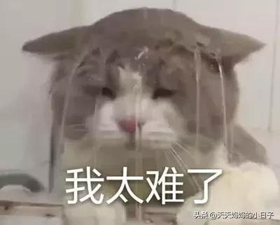 一年1亿土豪学校,一年学费12万以上的学校