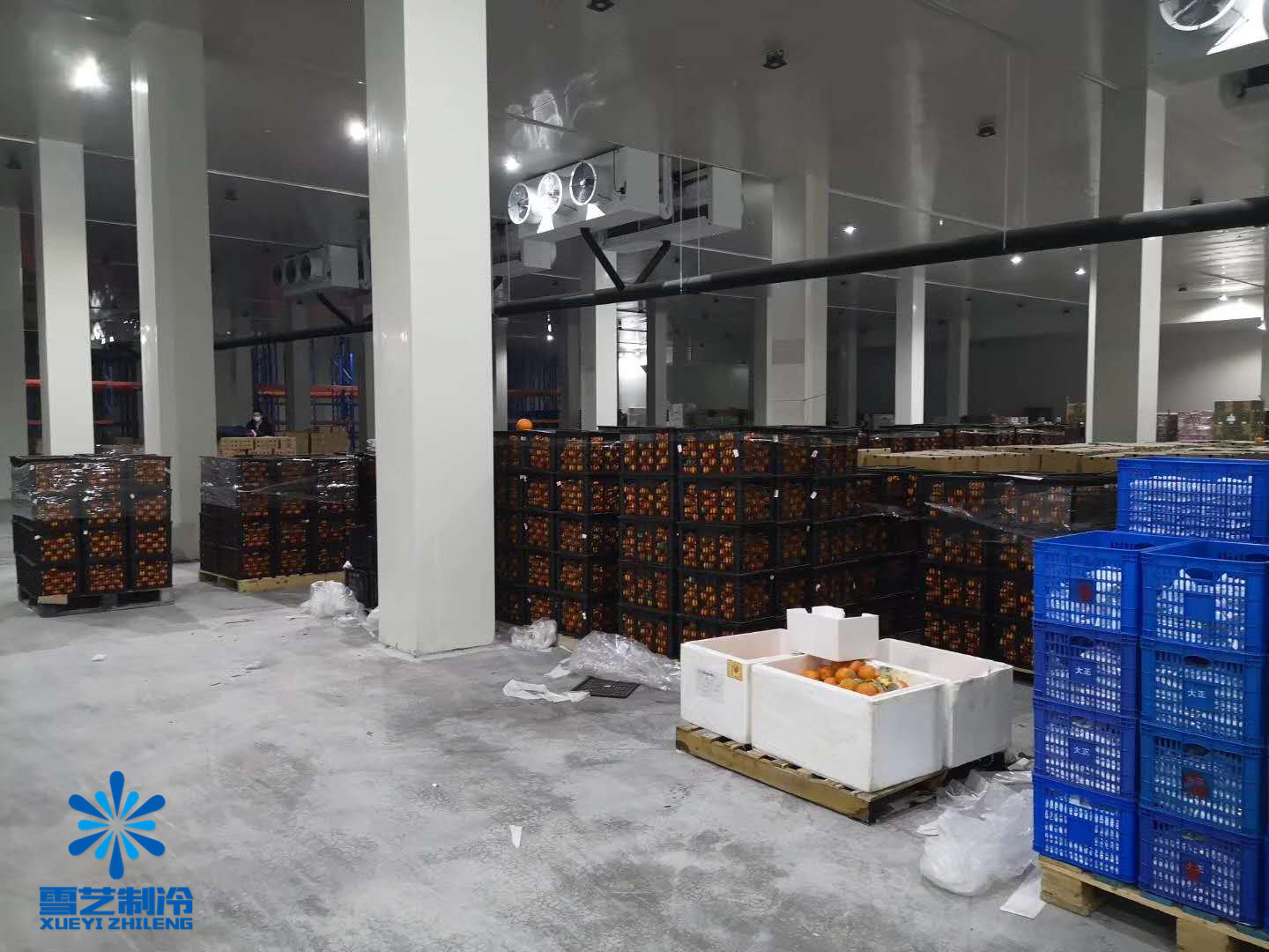 建冷库收益,建冷库能赚钱吗