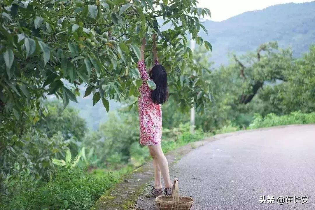 陕西的青皮核桃,陕西人儿时记忆饭菜